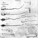 Clinical Genetics